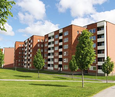Midälva, Sundsvall, Västernorrland - Foto 1