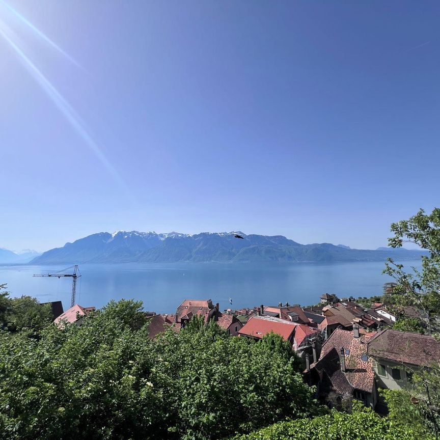 À louer : Villa 5.5 pièces pleine de charme avec vue et grand jardin - Photo 1