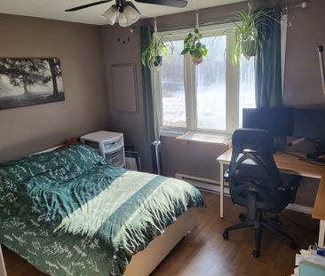 Appartement 1 Chambres à Louer - Photo 2