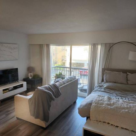 VGH – Lovely Studio Suite – Available Jan. 1st!(1233 W. 11 Ave) - Photo 3