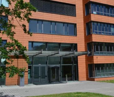 Hafen: Exclusives Apartment oder Wohnbüro gegenüber Landtag-Rheintu... - Photo 5