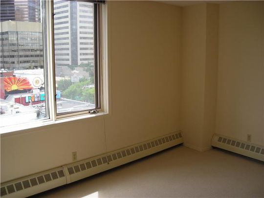 Penthouse 1 bedroom in Chinatown! - Photo 1