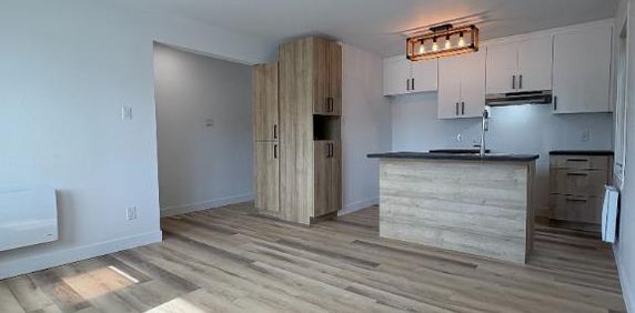 Logement à louer - Photo 2