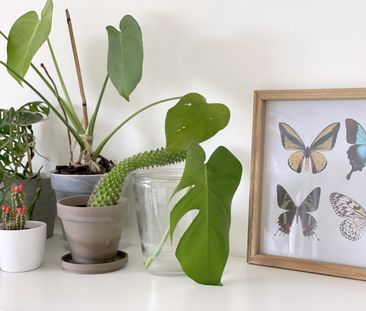 LEUK APPARTEMENT MET ZONNETERRAS TE HUUR IN KORTRIJK! - Photo 6