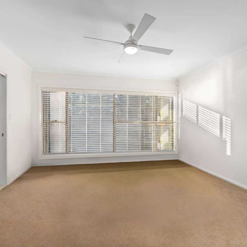 17 Jabiru Way, Port Macquarie NSW 2444 - House For Rent | Domain - Photo 1