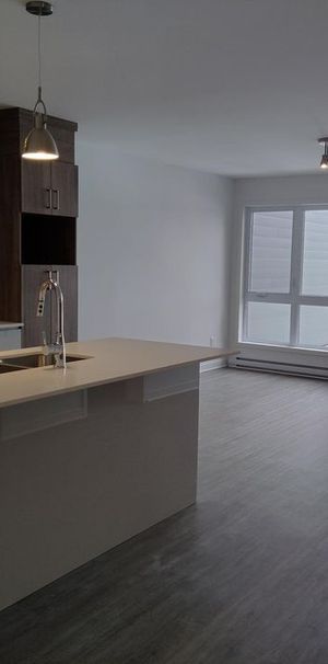 Spacieux/Neuf 4 ½ Avec 2 SDB à Louer - Photo 1