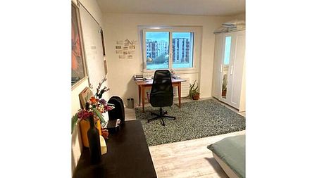 2 Zimmer-Wohnung in Zürich - Kreis 11 Seebach, möbliert, auf Zeit - Foto 3