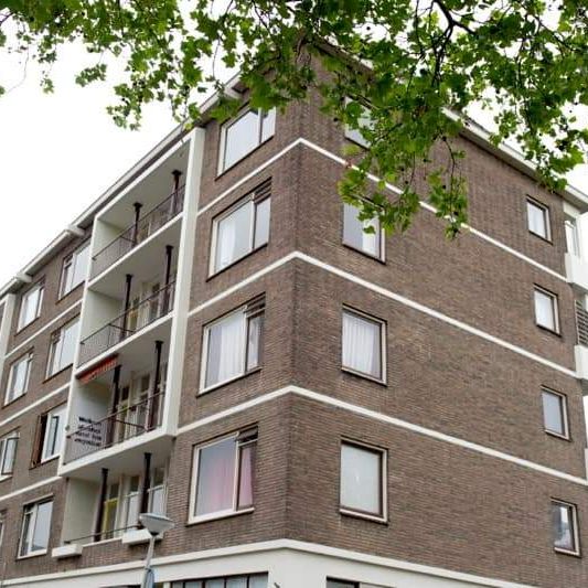 Appartement Boezemweg 183b, Rotterdam - À louer - Photo 2