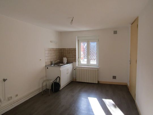 Location Appartement 3 pièces 90 m2 à Raon-l'Étape - Photo 1