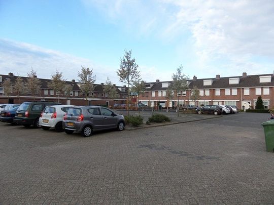 Kogelsmortel - Foto 1