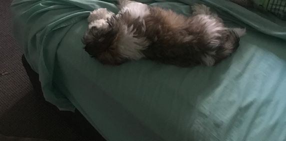 Burleigh Heads - Photo 2