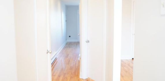 1 CH - 1 SDB - Montréal - $1,250 /mo - Photo 2