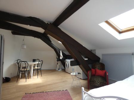 Location Appartement 1 pièce 24m² NANCY 54000 - Photo 5
