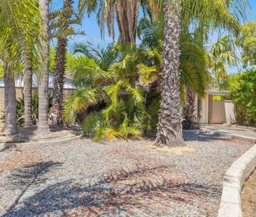 Family Home with A/C, Large Backyard & 2 Garden Sheds - Photo 5