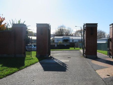 Sunny bedsit in a park - Photo 5