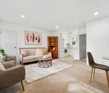 Sun drenched Mt Albert Unit - Photo 1