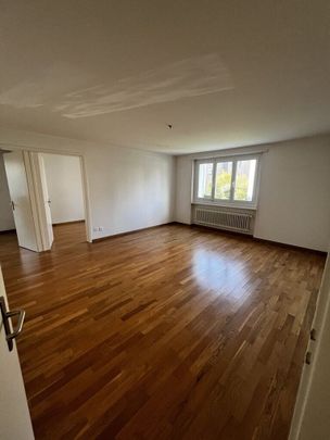 Helle 4-Zimmer-Wohnung im Erdgeschoss in Steinhausen - Photo 1