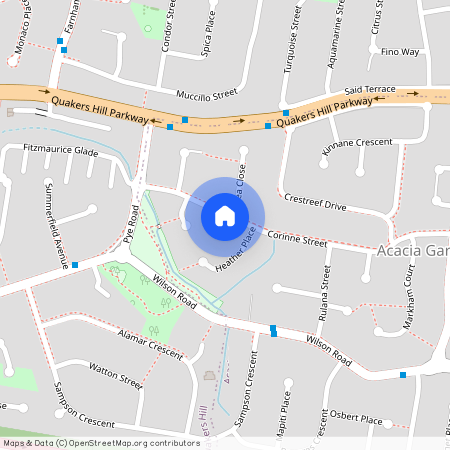 16A Corinne Street, New South Wales, NSW 2763, Acacia Gardens