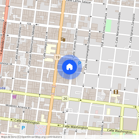 Calle Albino Espinosa Poniente 161, Nuevo Centro de Monterrey