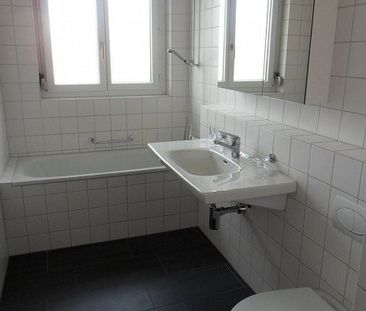 Zwischen Limmat und Rebbergen: Höngg verbindet Natur mit Stadtleben - Photo 2