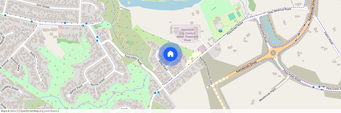 5A McEwan Place, Fitzroy, Hamilton