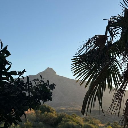 Ground Floor Apartment in Marbella - Photo 5