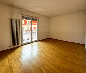 RENOVATED APARTMENT FIRST RENT FREE - Photo 4