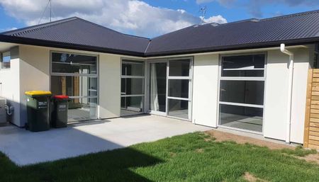 Brand New Two Bedroom Unit - Photo 3