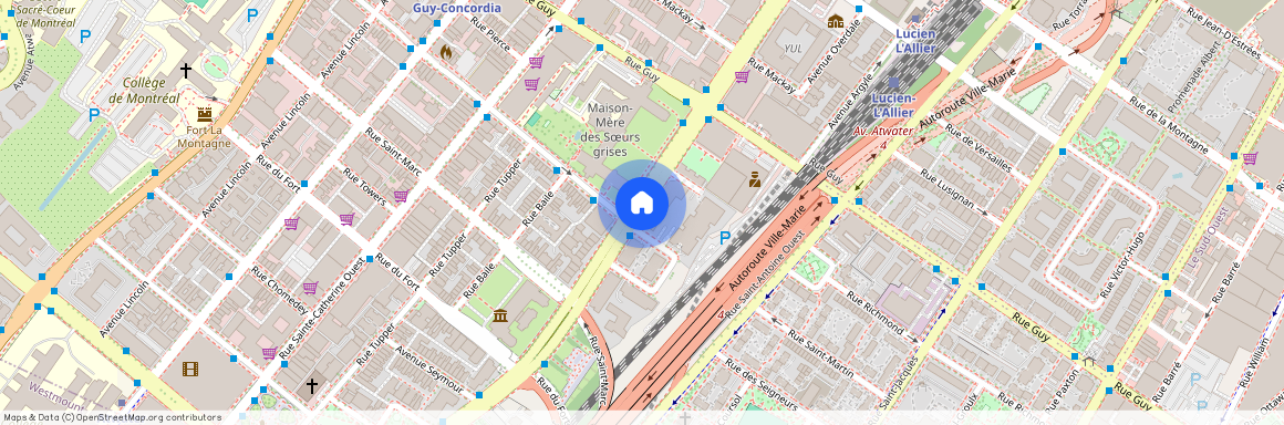 1077 Rue St Mathieu, Ville-Marie, Ville-Marie, Ile de Montréal, H3H 1R3