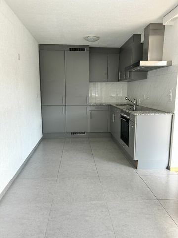 Industriestrasse 18, 9430 St. Margrethen SG - Foto 2