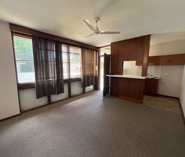 South Dubbo Unit - New Paint & Carpet - Photo 3