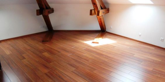 Location Appartement 1 pièce 24m² NANCY 54000 - Photo 3