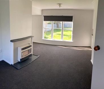 Recently Renovated with Big Backyard - Photo 2