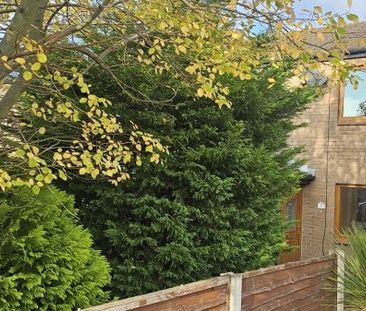 Pingle Croft, Clayton-le-Woods - Photo 4