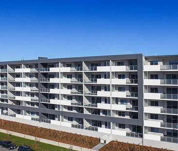 37/40 Philip Hodgins Street, Wright ACT 2611 - Apartment For Rent |... - Photo 3