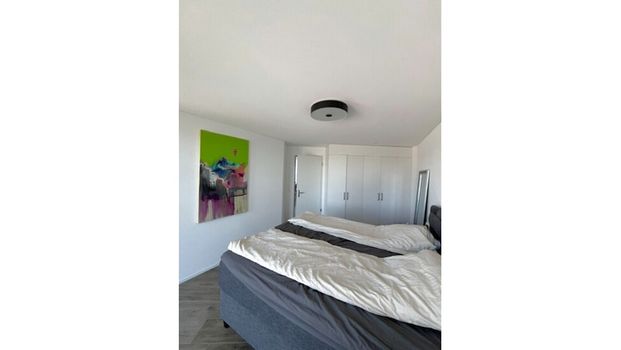 3½ Zimmer-Wohnung in Dübendorf (ZH), möbliert, auf Zeit - Foto 1