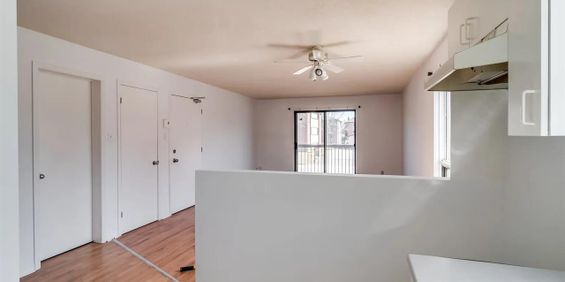 27 Rue Du Sommet (Hautes Plaines) Super 3 1/2 - Photo 3