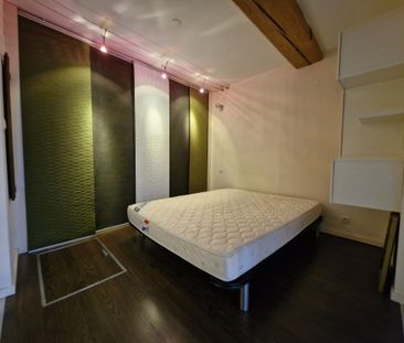 Location Appartement 2 pièces 58m² VIENNE 38200 - Photo 4