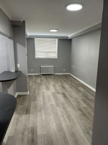 For Lease - 9 Bracebridge Avenue Unit# LOWER, Toronto, Ontario - Photo 3