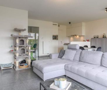 Gelijkvloers app. te huur in Ingelmunster voor € 860 met 2 slaapkamers - Foto 3