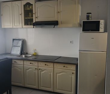 Location Appartement 1 pièce 20m² VILLENEUVE TOLOSANE 31270 - Photo 2