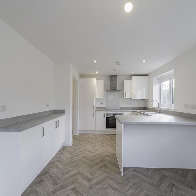 3 bedroom semi-detached house to rent - Photo 1