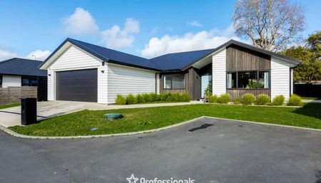 3 Nikau Lane, Timberlea - Photo 3