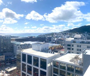 Best view in town! - Photo 4