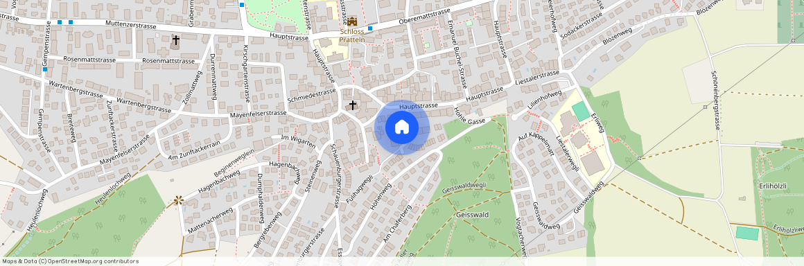 Haldenweg 4, 4133 Pratteln