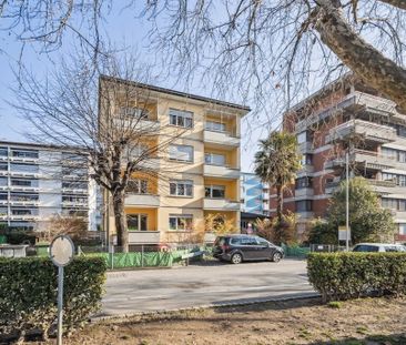 Grazioso appartamento nel cuore di Massagno - Photo 4