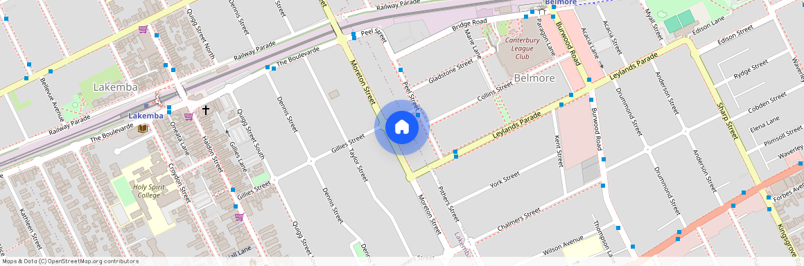 84A Moreton Street, NSW 2195, Lakemba