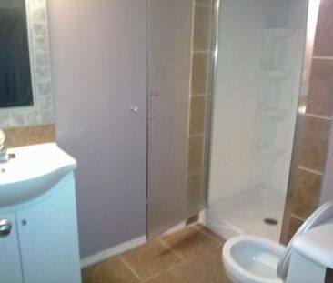 PRICE DROPPED! RENOVATED! 2 BDRM MAIN-BASEMENT!!! IN DOWNTOWN - Photo 5