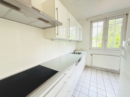SCHLOSS SCHÖNBRUNN | RUHELAGE | 7 ZIMMER | ALTBAU | TERRASSE MIT GARTENBLICK - Foto 3