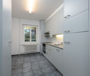 Altbauwohnung im schönen Wipkingen - Foto 1